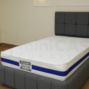 مرتبة نورمال